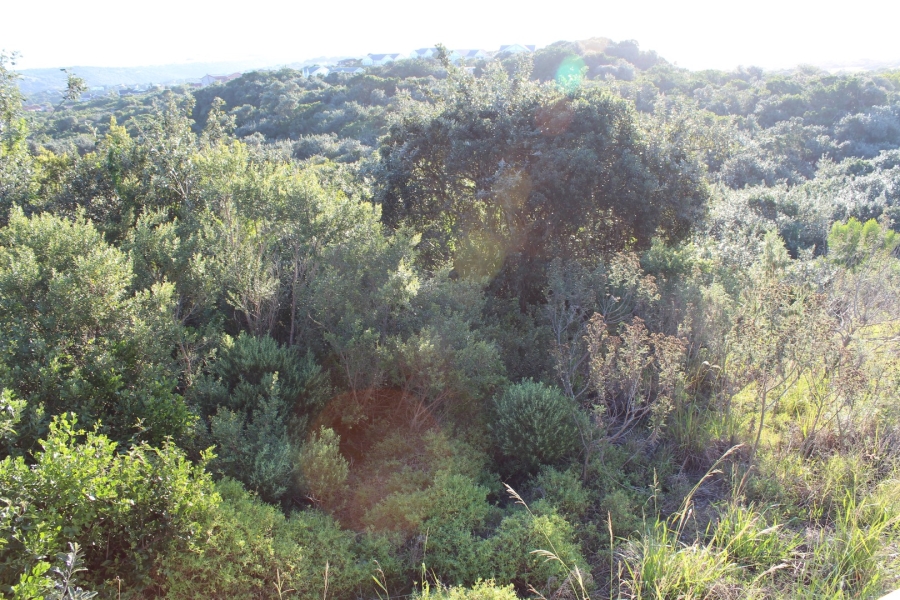 0 Bedroom Property for Sale in Kleinemonde Eastern Cape